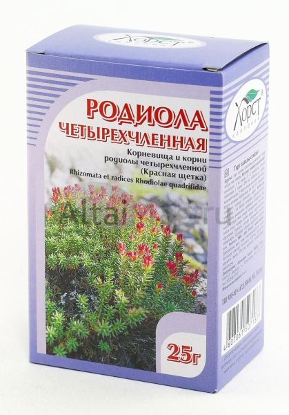 Изображение товара Родиола четырехчленная (красная щетка), корни, 25 г (Хорст) Родиола четырехчленная (красная щетка), корни, 25 г (Хорст) фотография