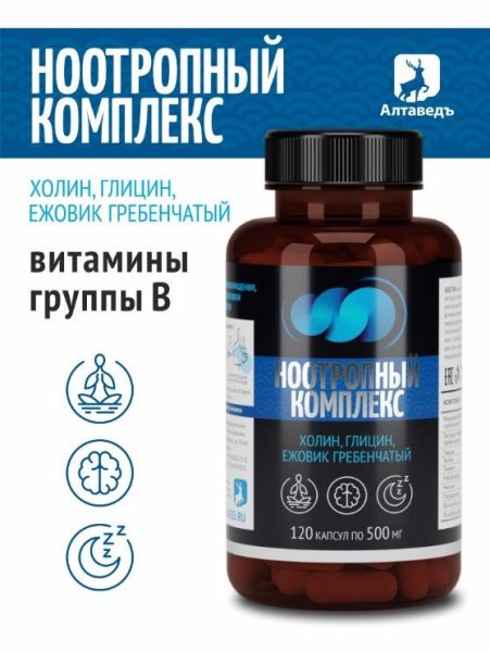 Изображение товара Натурведъ Ноотропный комплекс Холин,глицин, ежовик гребенчатый №57 Алтаведъ 120 капсул Натурведъ Ноотропный комплекс Холин,глицин, ежовик гребенчатый №57 Алтаведъ 120 капсул фотография